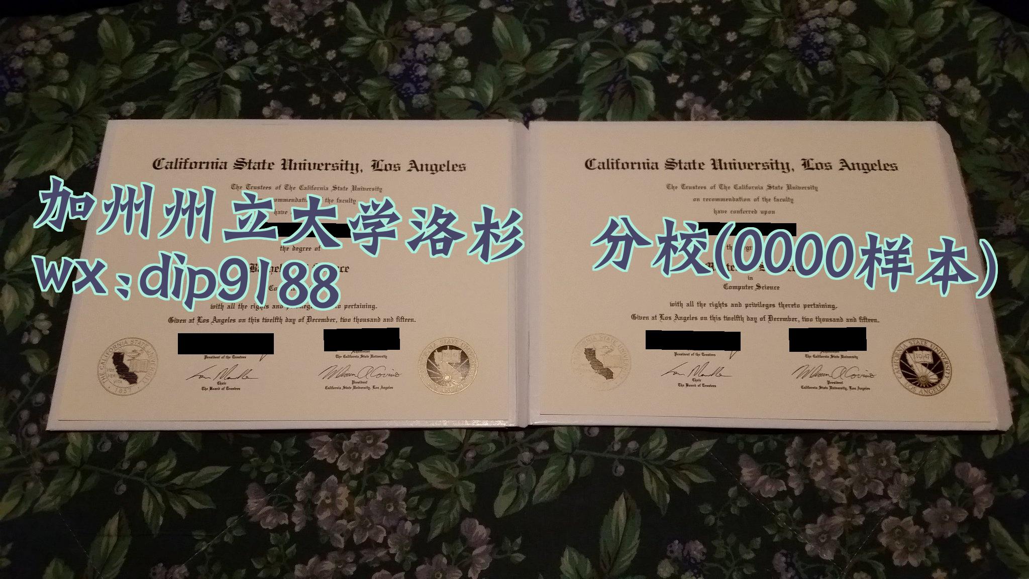 加州州立大学洛杉矶分校学历0000毕业证样本图