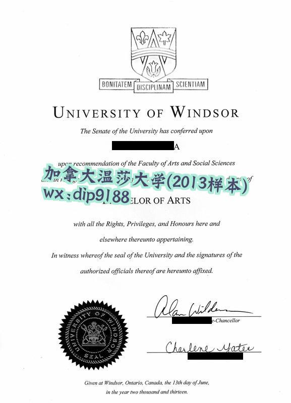 加拿大温莎大学学历2013毕业证样本图