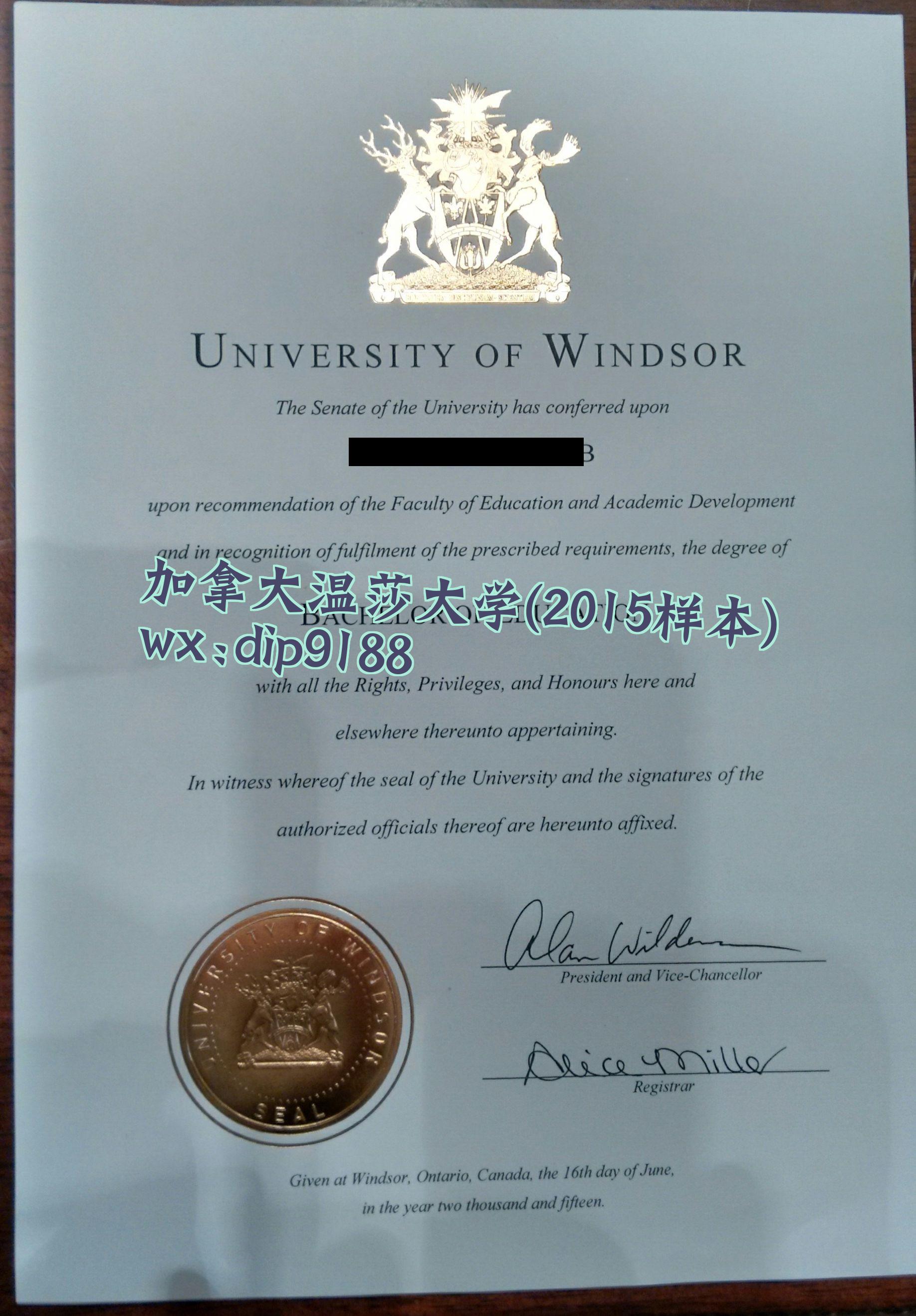 加拿大温莎大学学历2015毕业证样本图