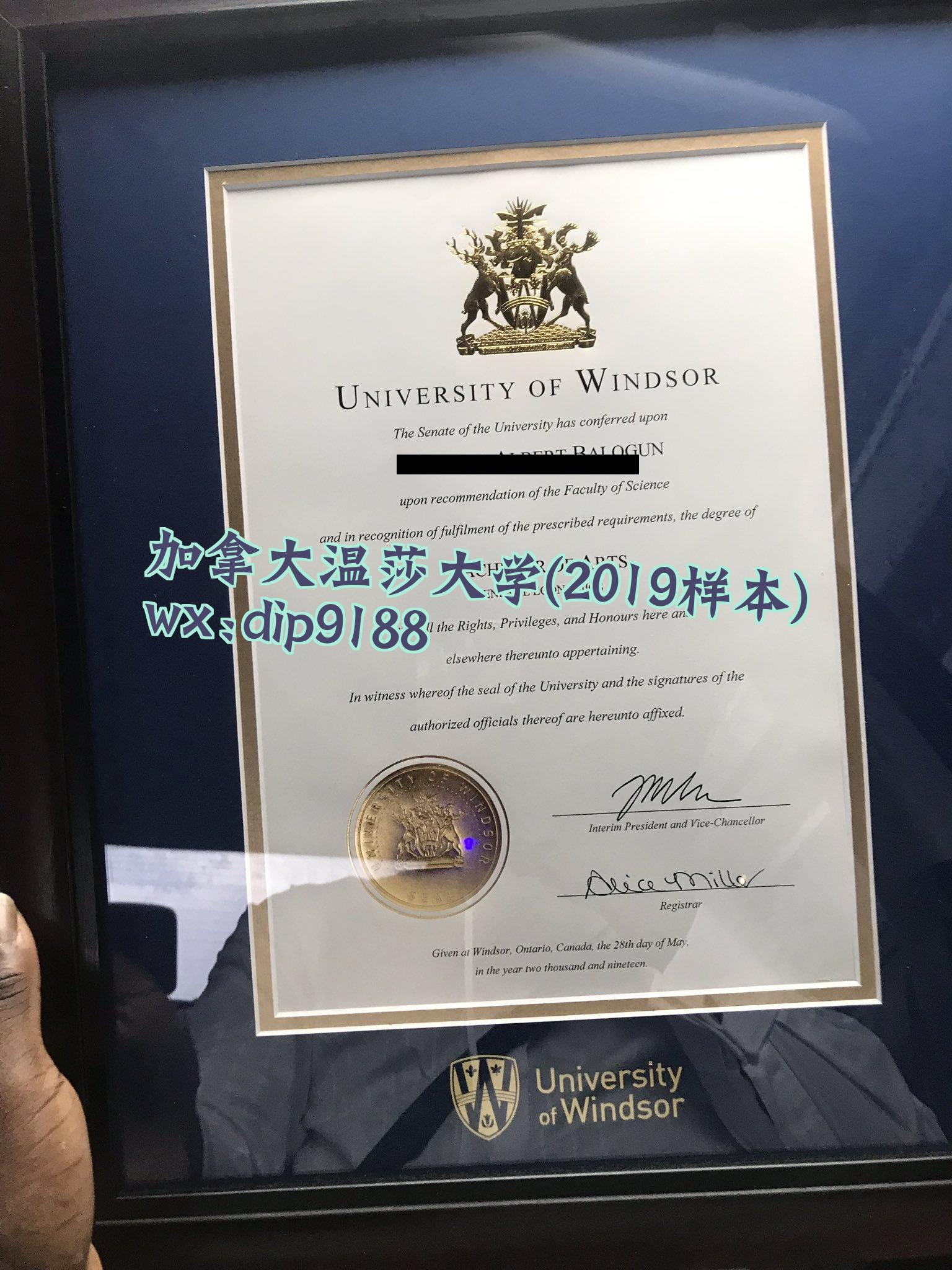 加拿大温莎大学学历2019毕业证样本图