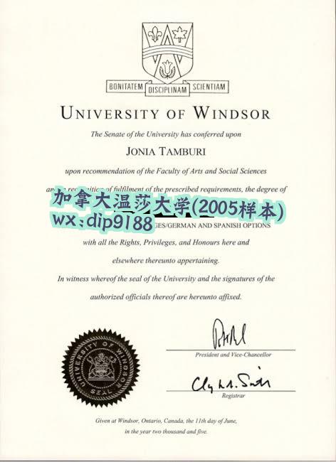 加拿大温莎大学学历2005毕业证样本图