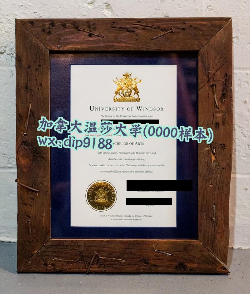 加拿大温莎大学学历0000毕业证样本图