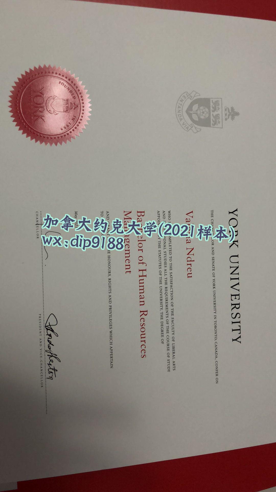 加拿大约克大学学历2021毕业证样本图