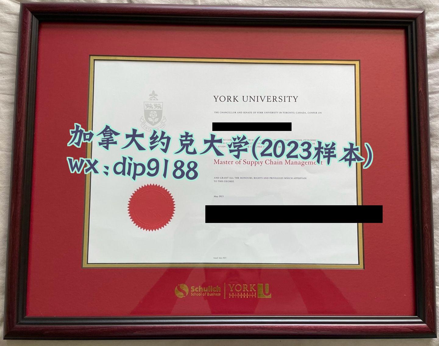 加拿大约克大学学历2023毕业证样本图