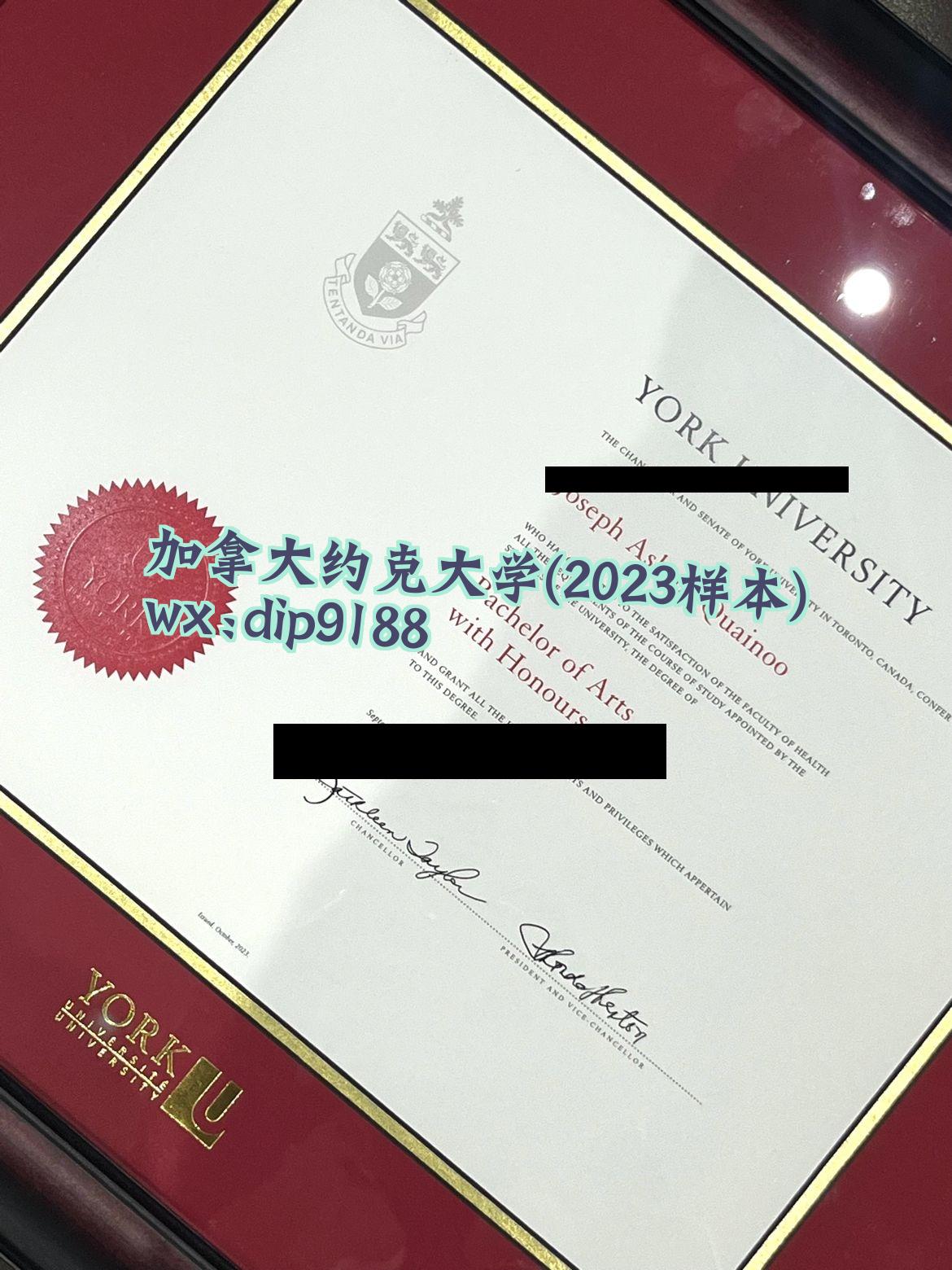 加拿大约克大学学历2023毕业证样本图