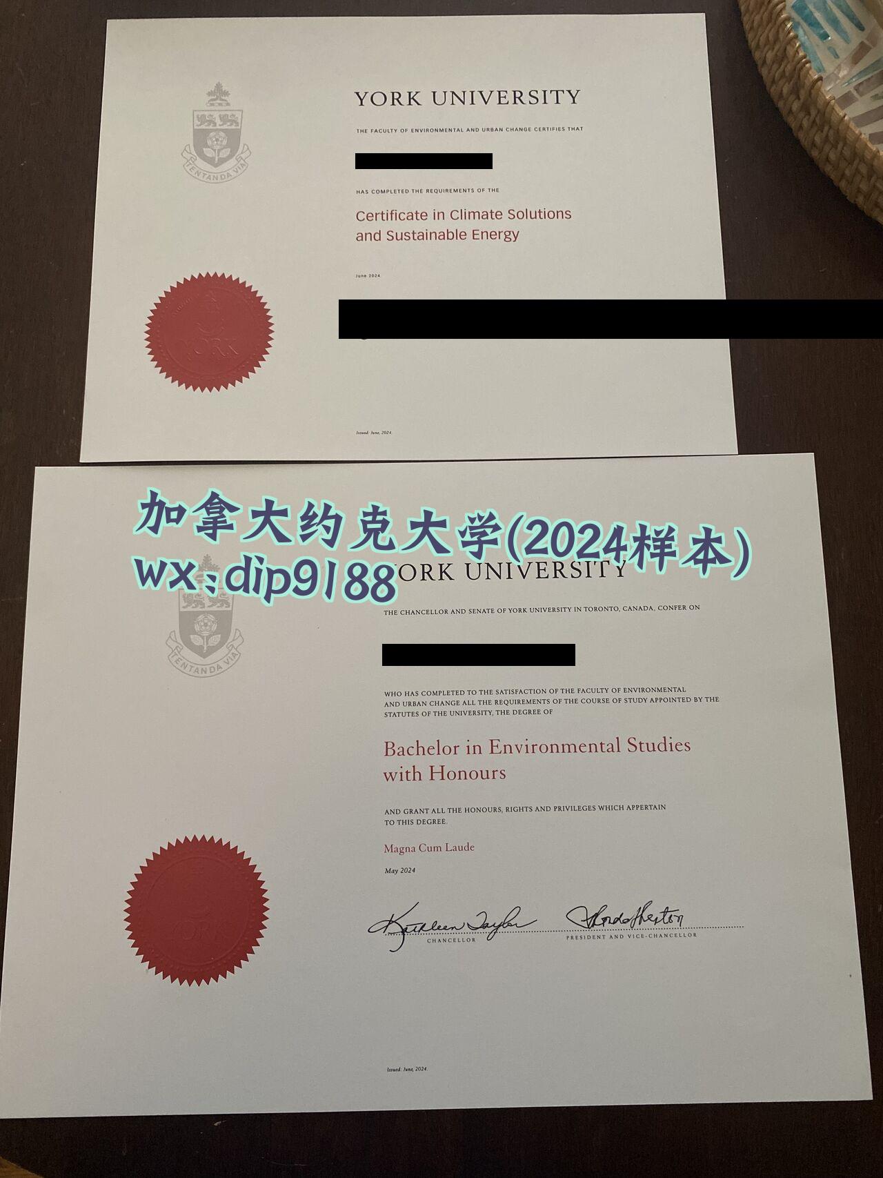 加拿大约克大学学历2024毕业证样本图