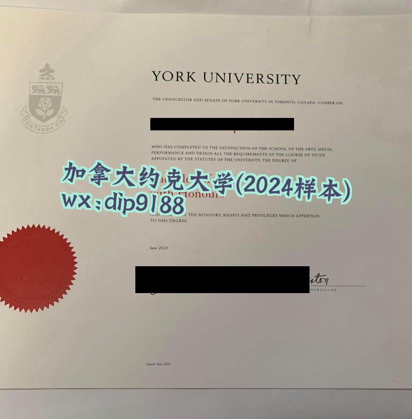 加拿大约克大学学历2024毕业证样本图
