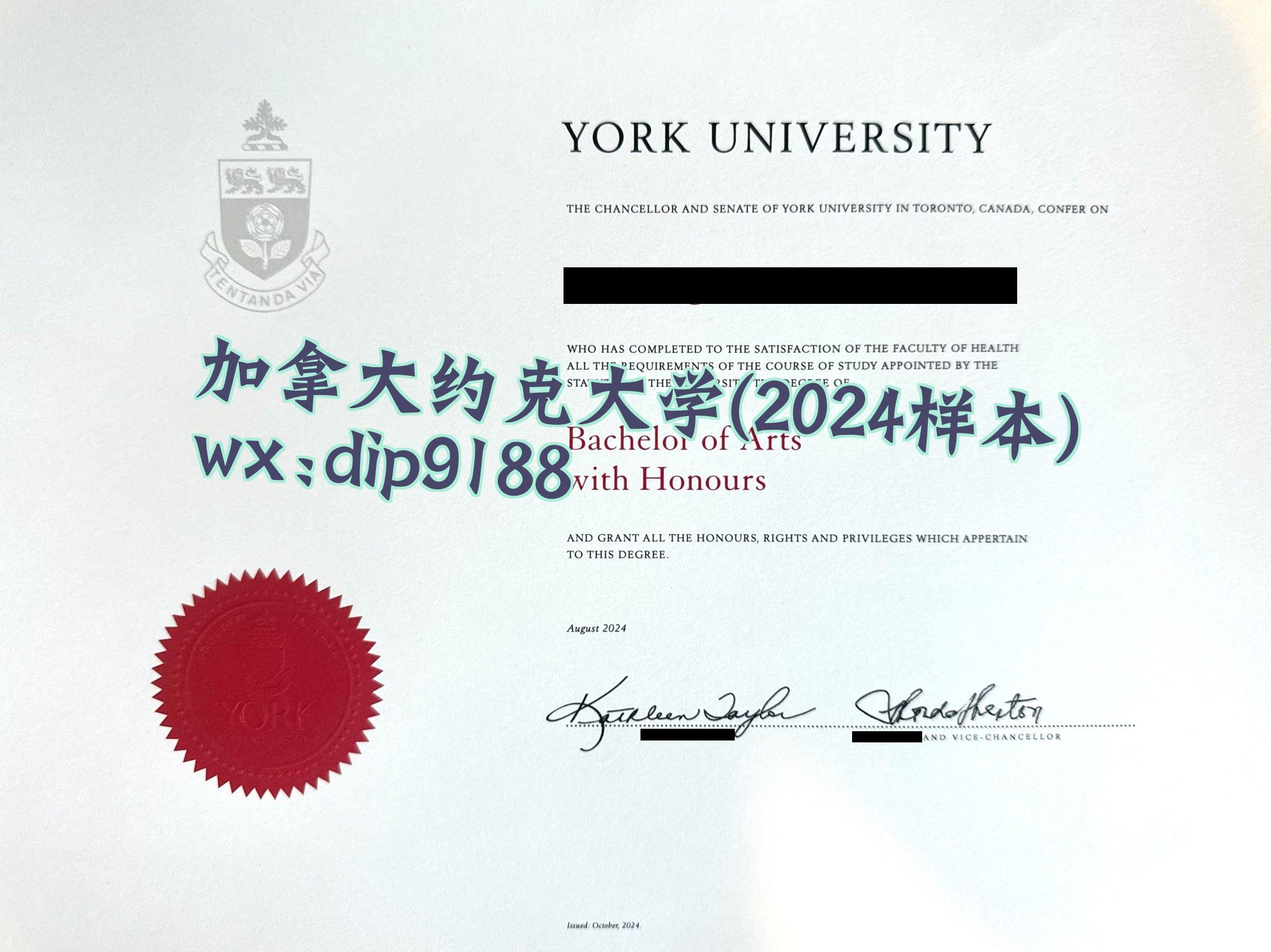 加拿大约克大学学历2024毕业证样本图