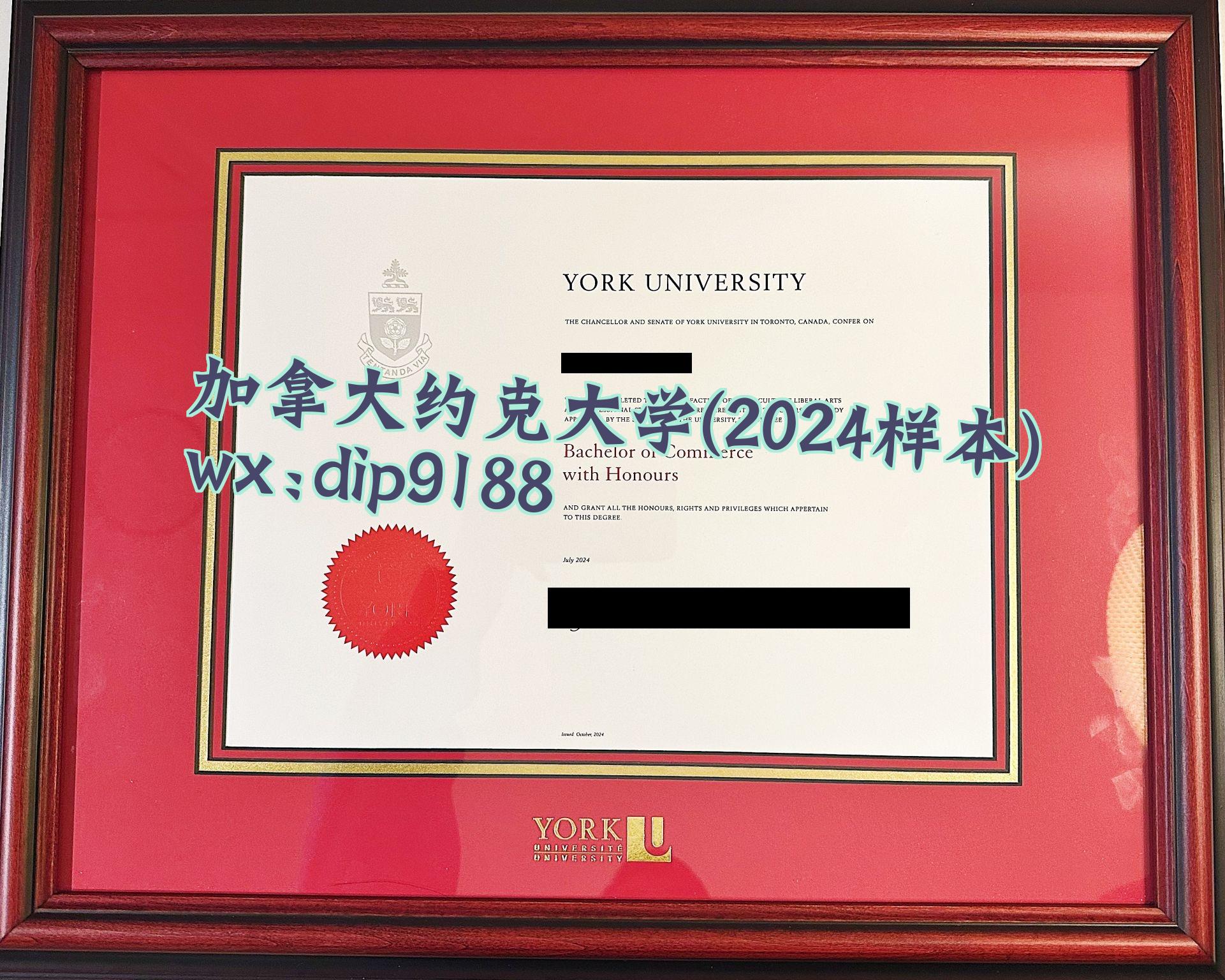 加拿大约克大学学历2024毕业证样本图