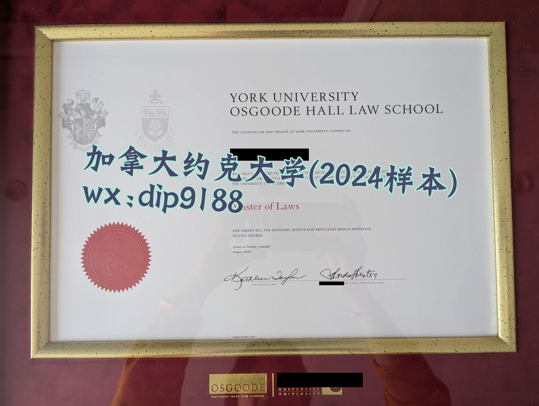 加拿大约克大学学历2024毕业证样本图