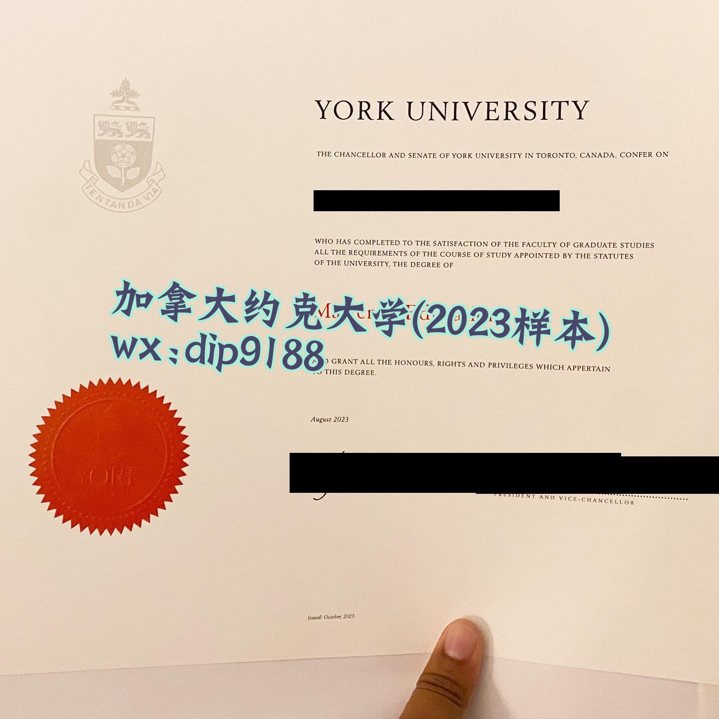 加拿大约克大学学历2023毕业证样本图