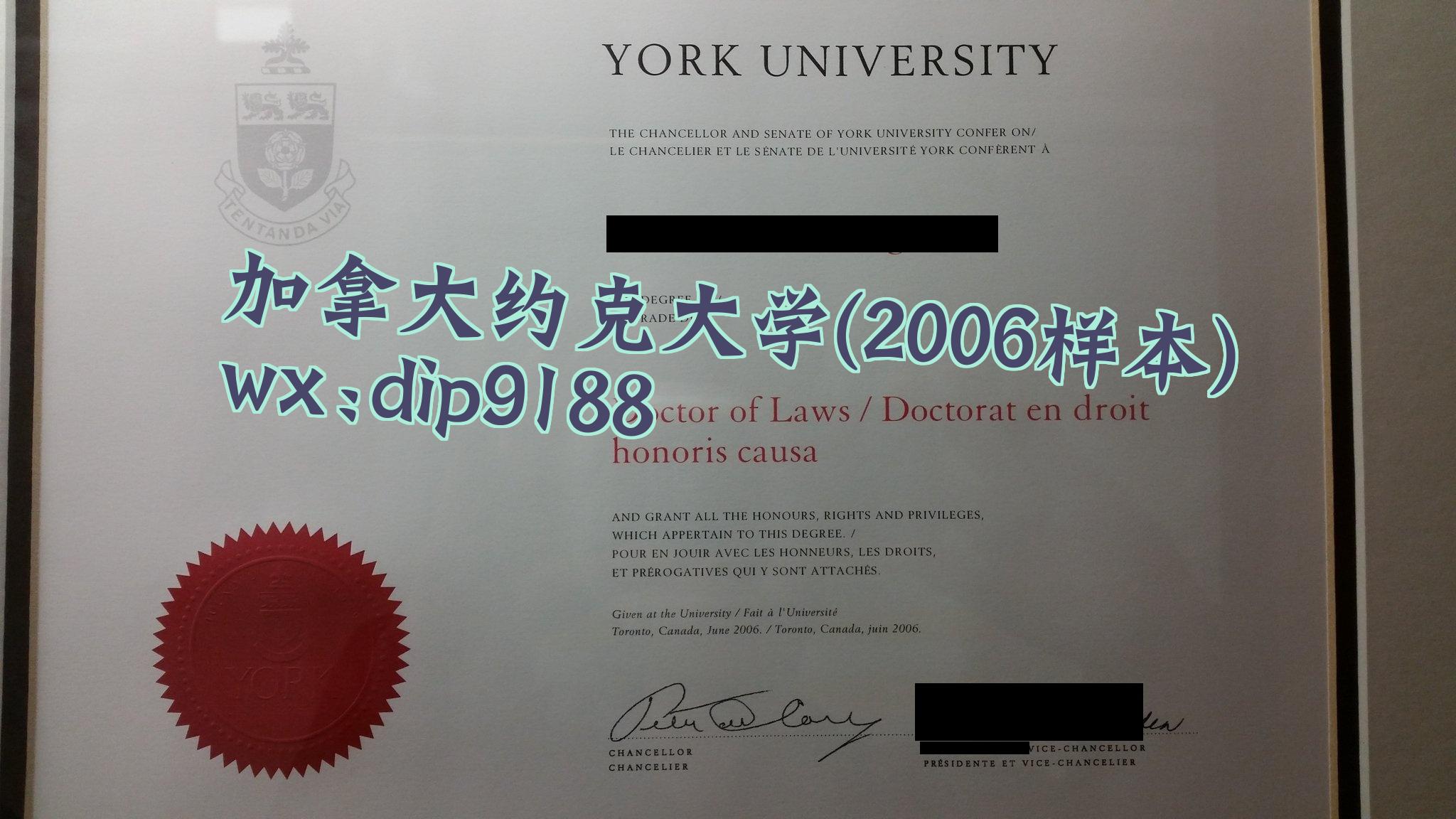 加拿大约克大学学历2006毕业证样本图