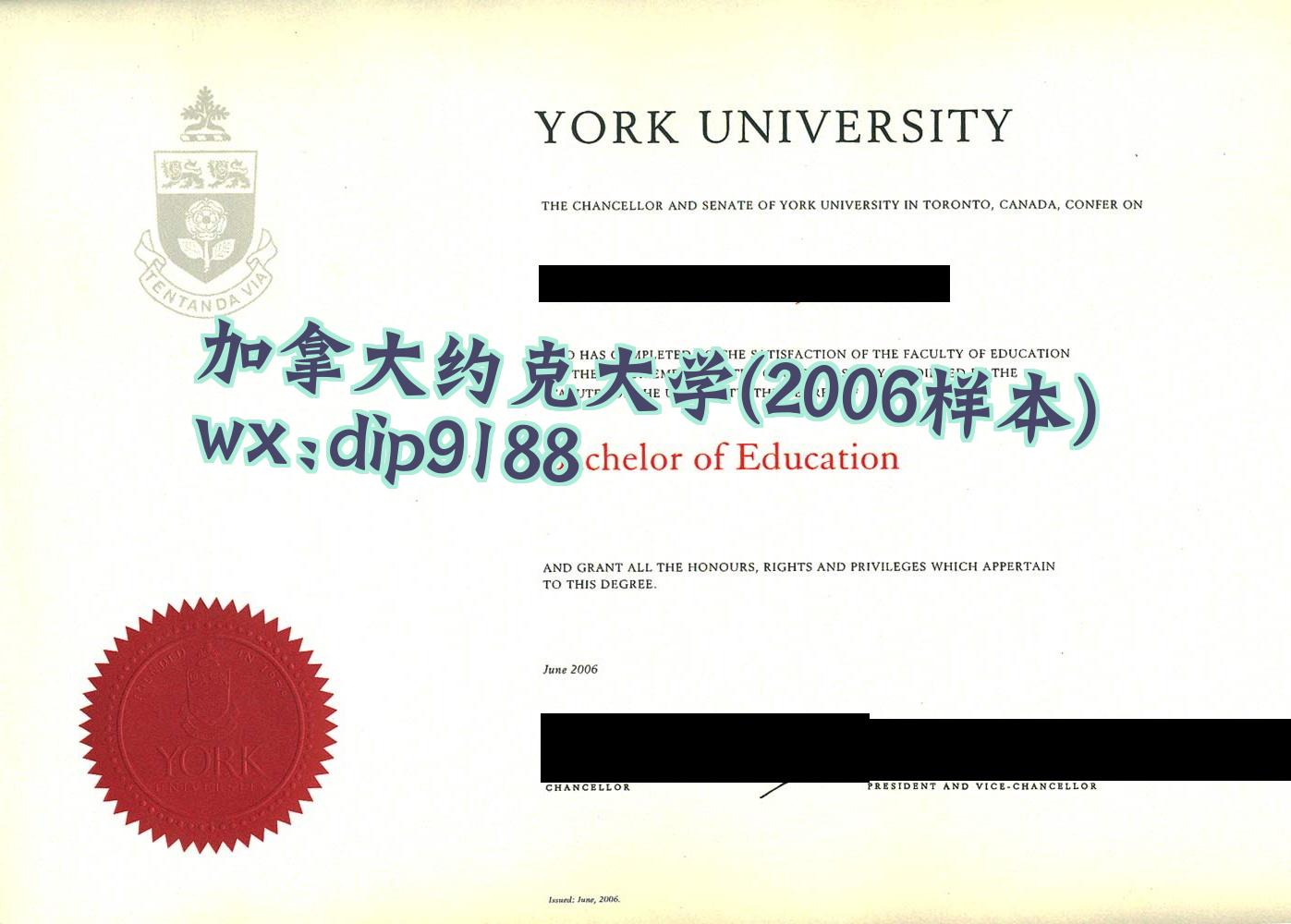 加拿大约克大学学历2006毕业证样本图