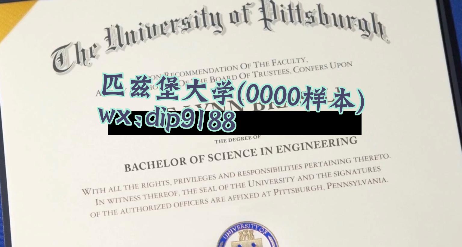 匹兹堡大学学历0000毕业证样本图