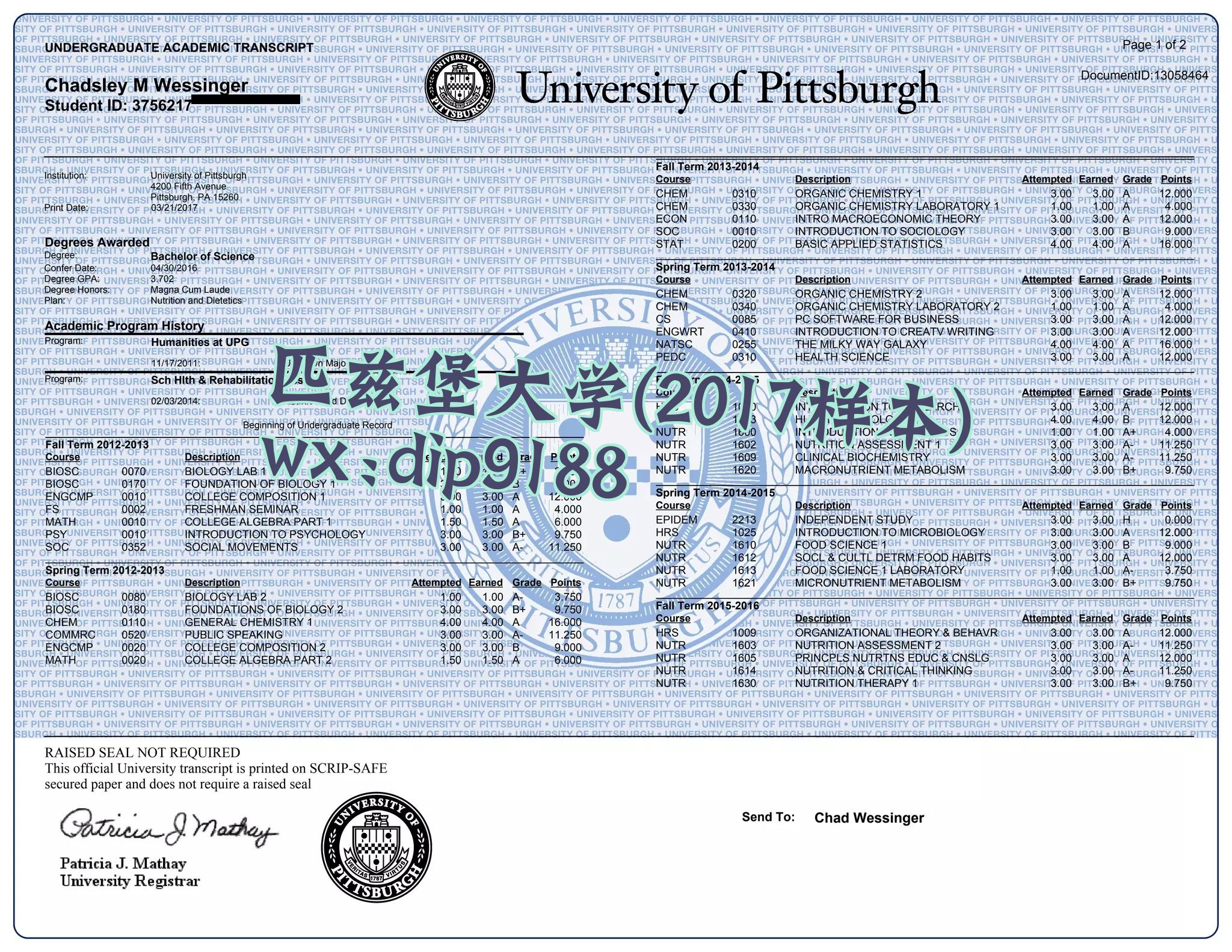 匹兹堡大学学历2017毕业证样本图