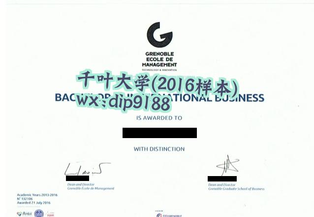 千叶大学学历2016毕业证样本图