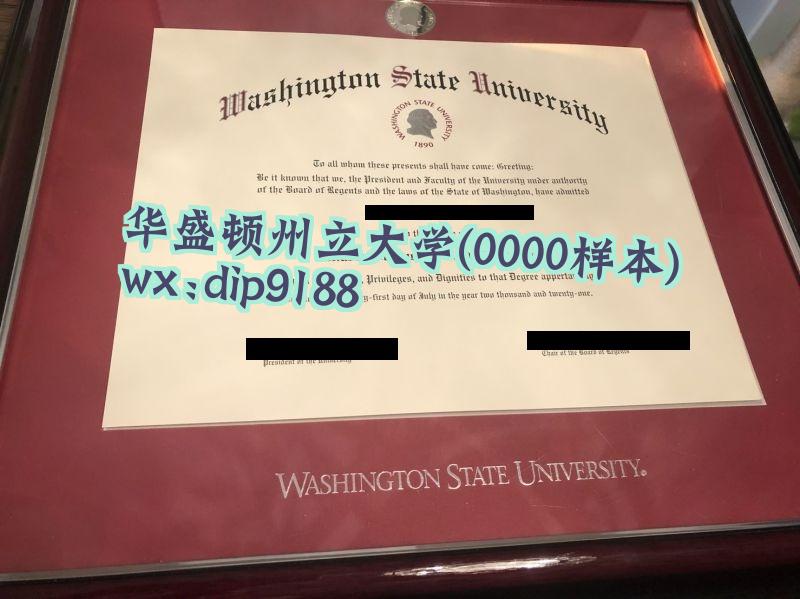 华盛顿州立大学学历0000毕业证样本图