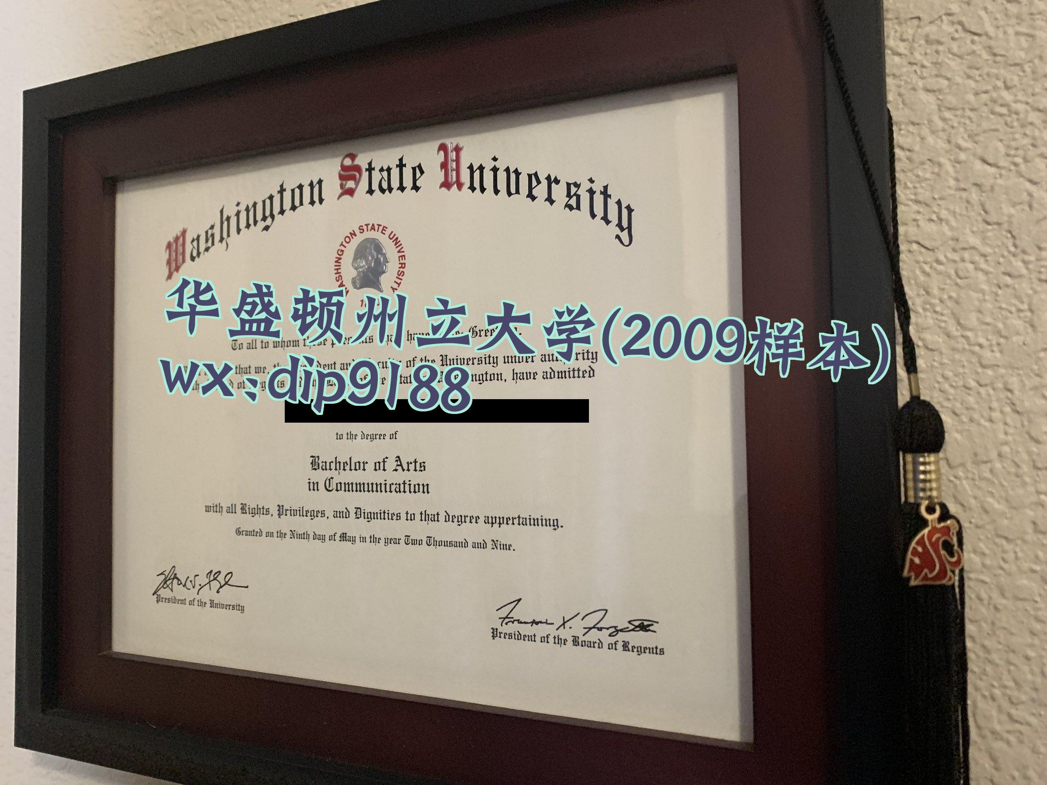 华盛顿州立大学学历2009毕业证样本图