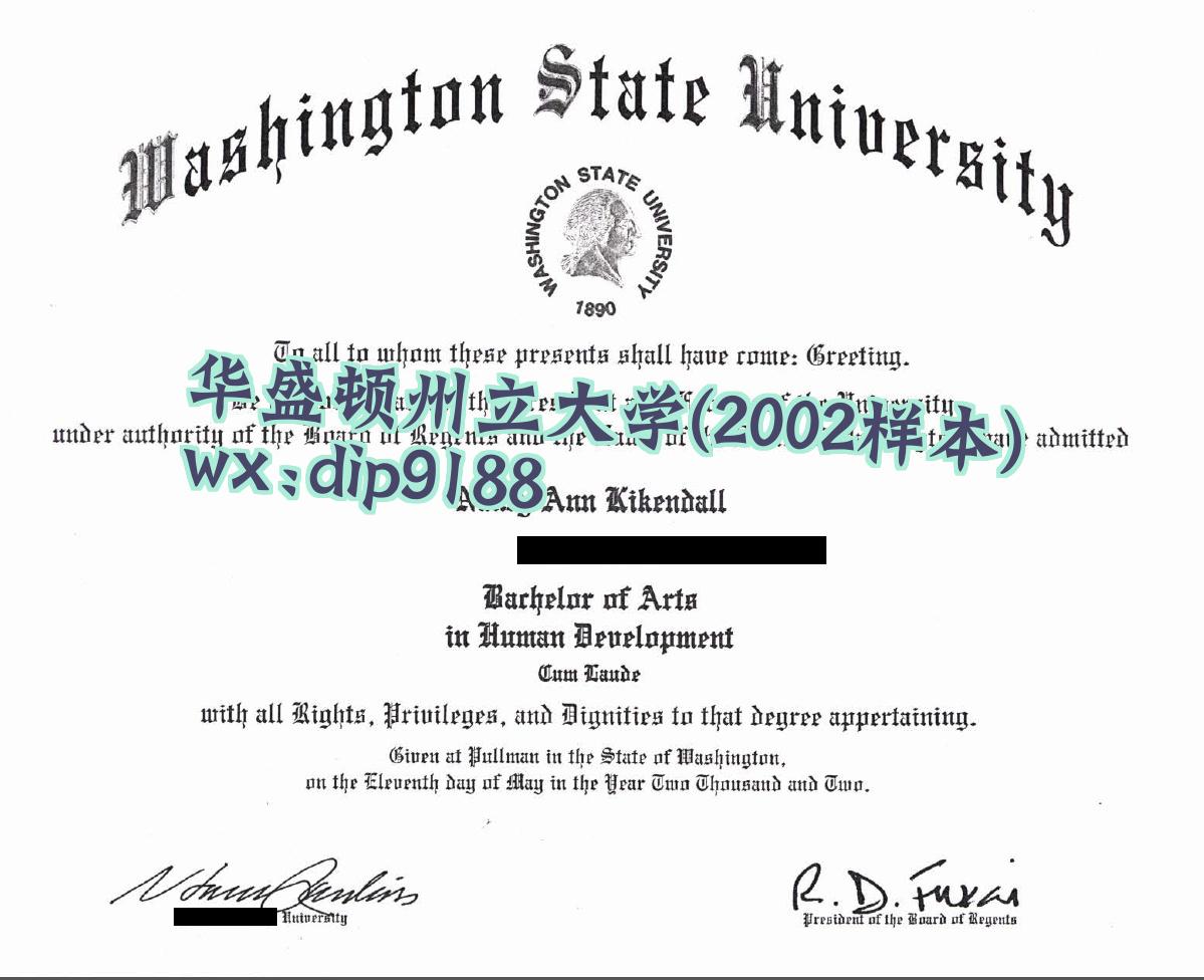 华盛顿州立大学学历2002毕业证样本图