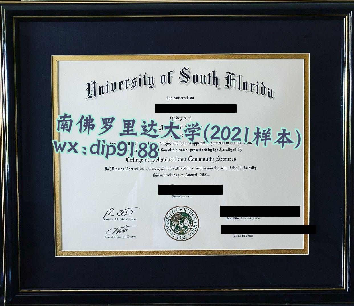 南佛罗里达大学学历2021毕业证样本图