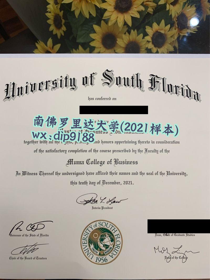 南佛罗里达大学学历2021毕业证样本图