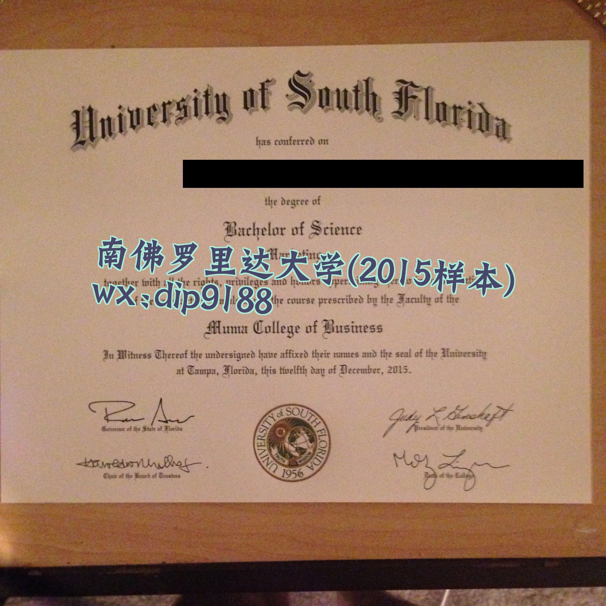 南佛罗里达大学学历2015毕业证样本图