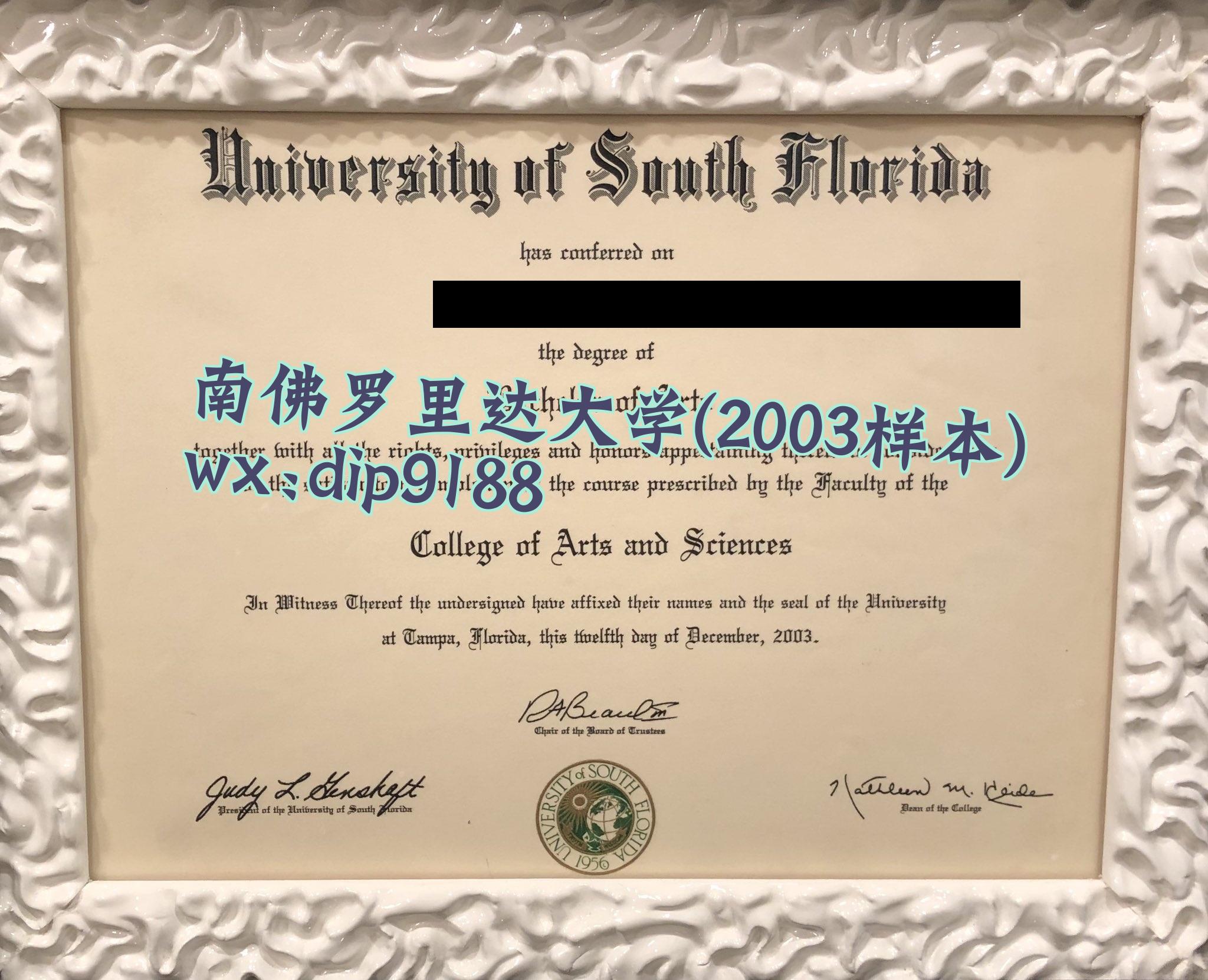 南佛罗里达大学学历2003毕业证样本图