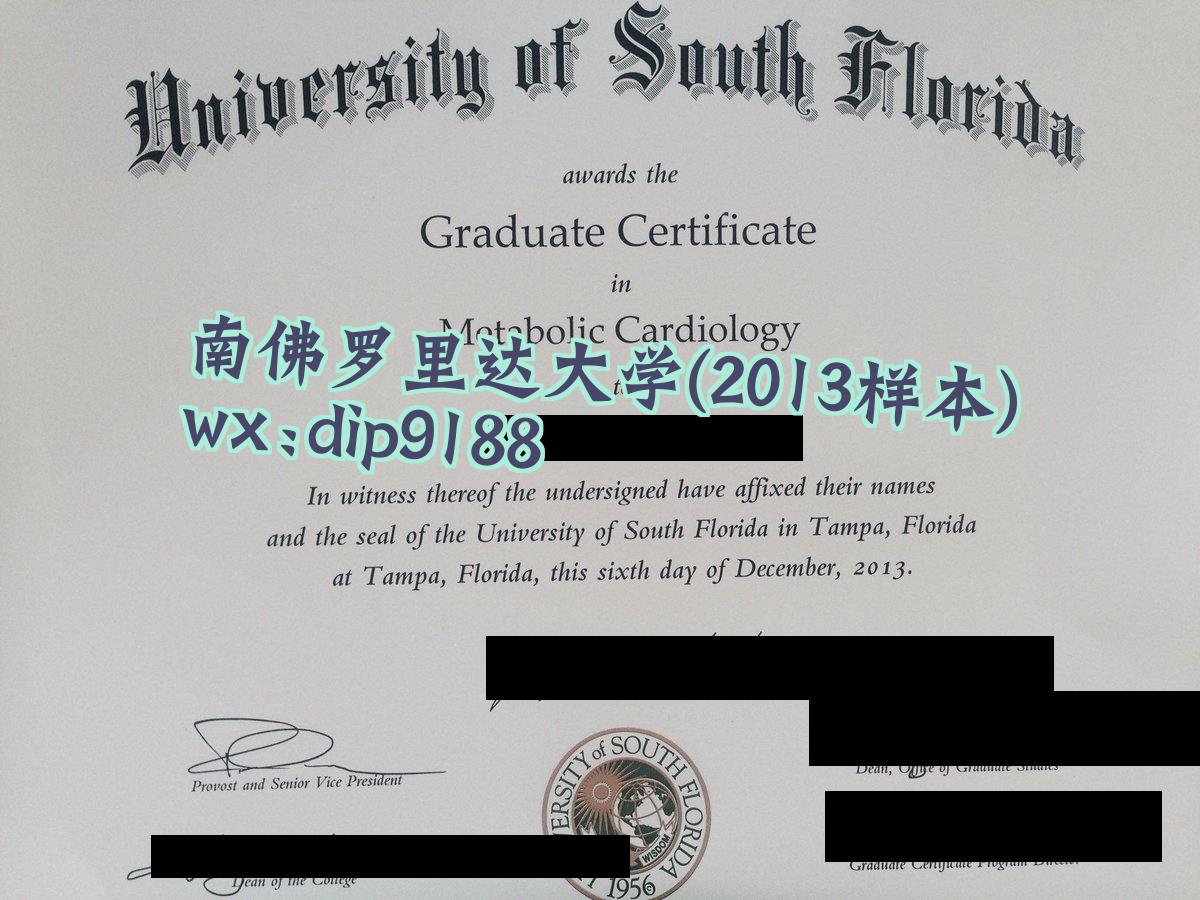 南佛罗里达大学学历2013毕业证样本图