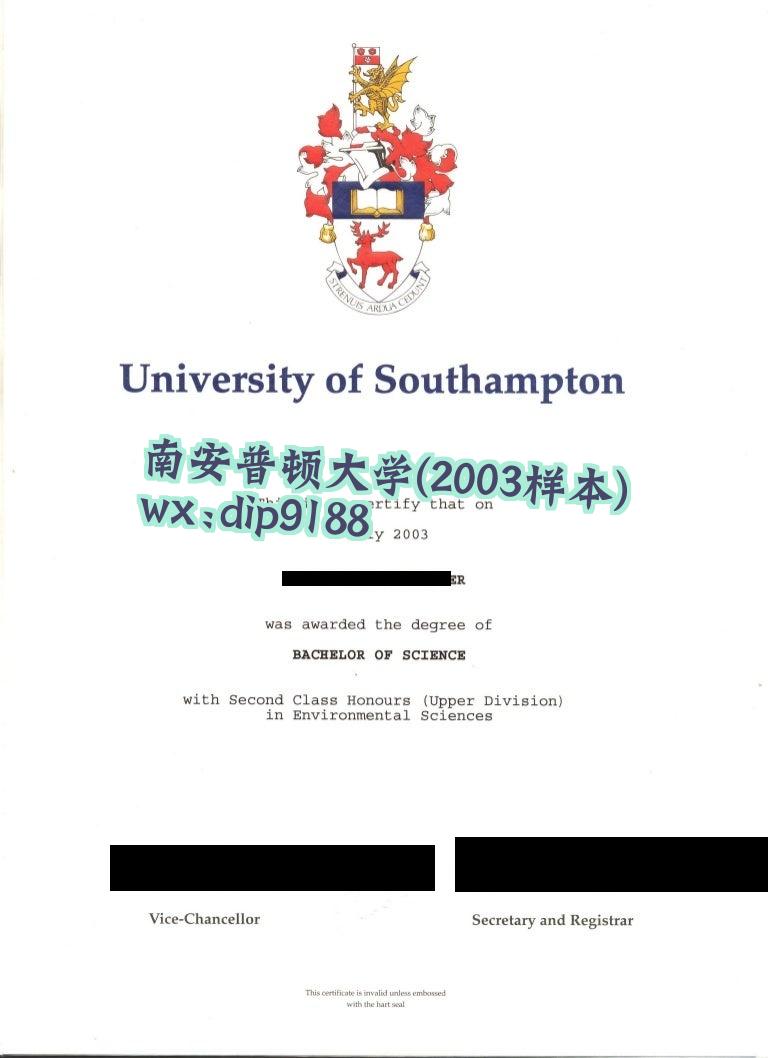 南安普顿大学学历2003毕业证样本图