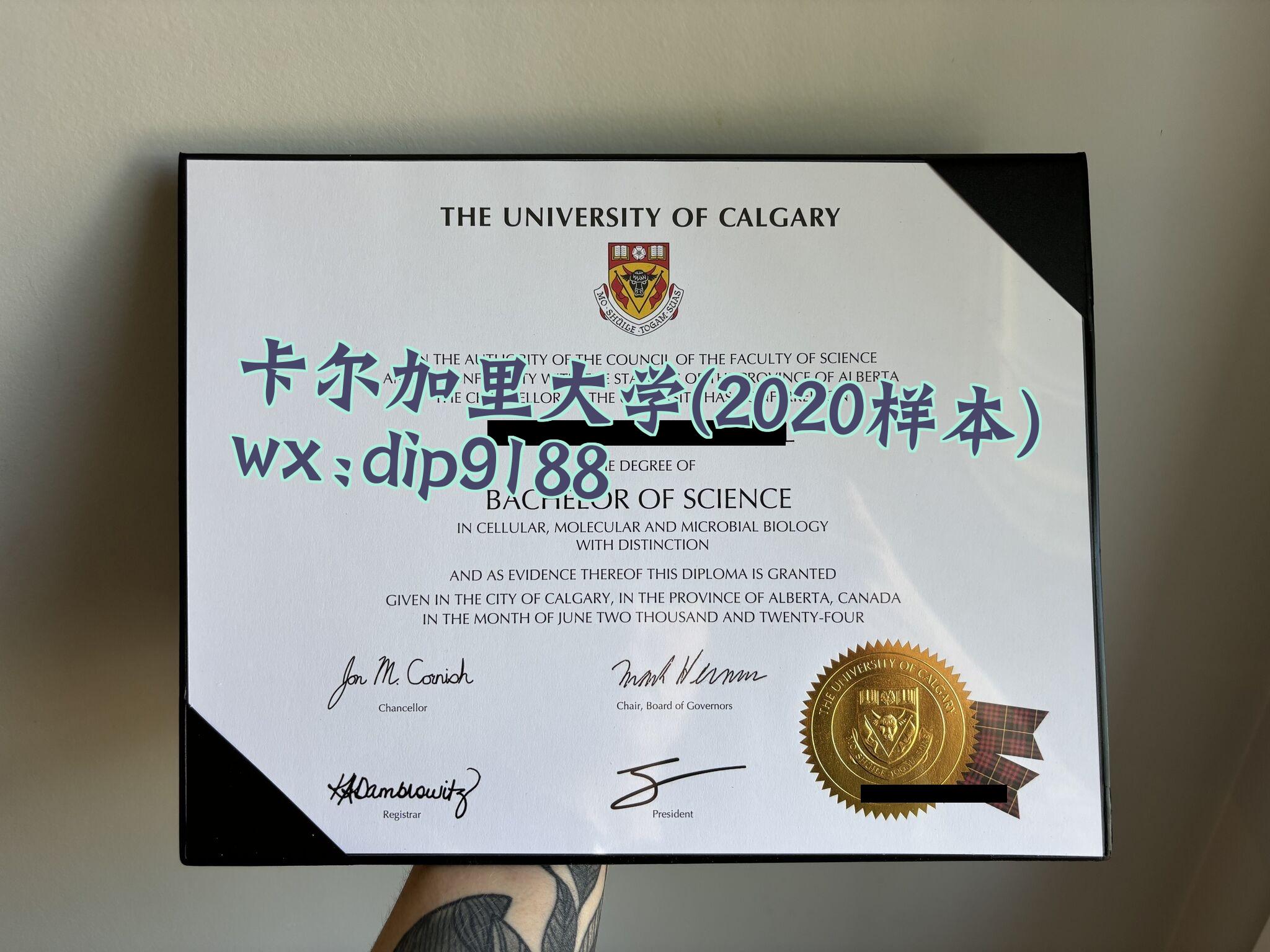 卡尔加里大学学历2020毕业证样本图