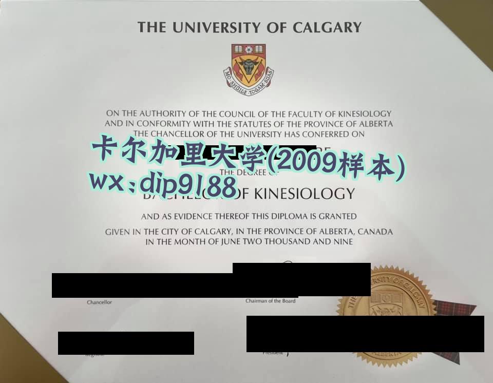卡尔加里大学学历2009毕业证样本图