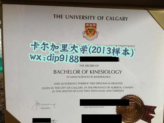 卡尔加里大学学历2013毕业证样本图