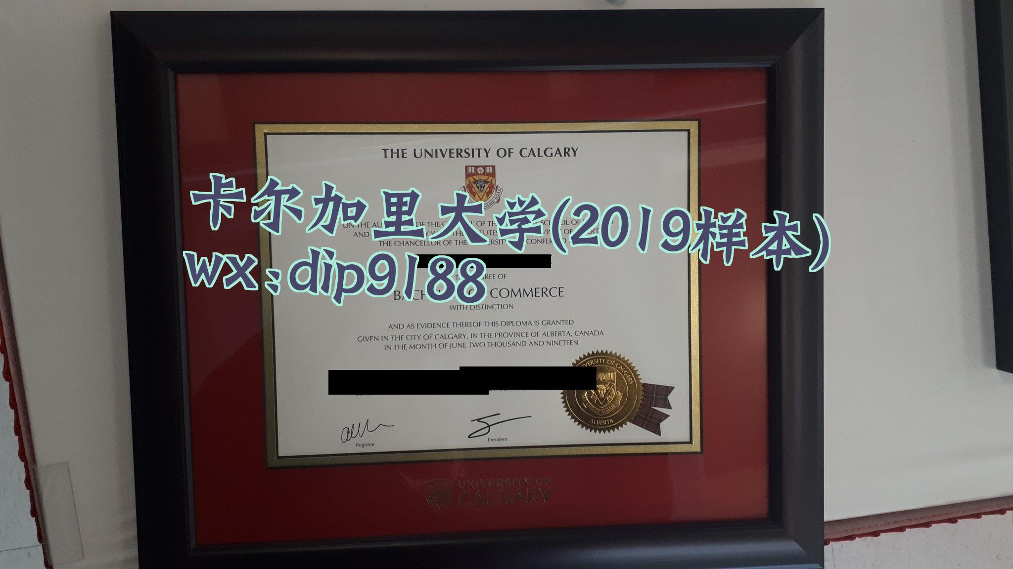 卡尔加里大学学历2019毕业证样本图