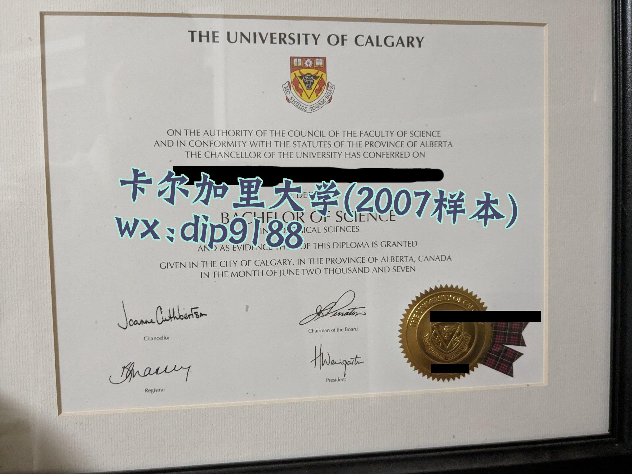 卡尔加里大学学历2007毕业证样本图
