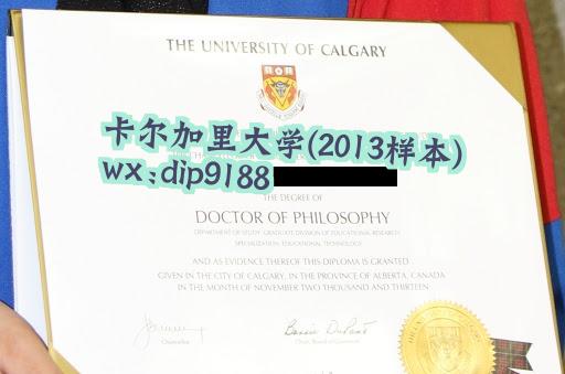 卡尔加里大学学历2013毕业证样本图