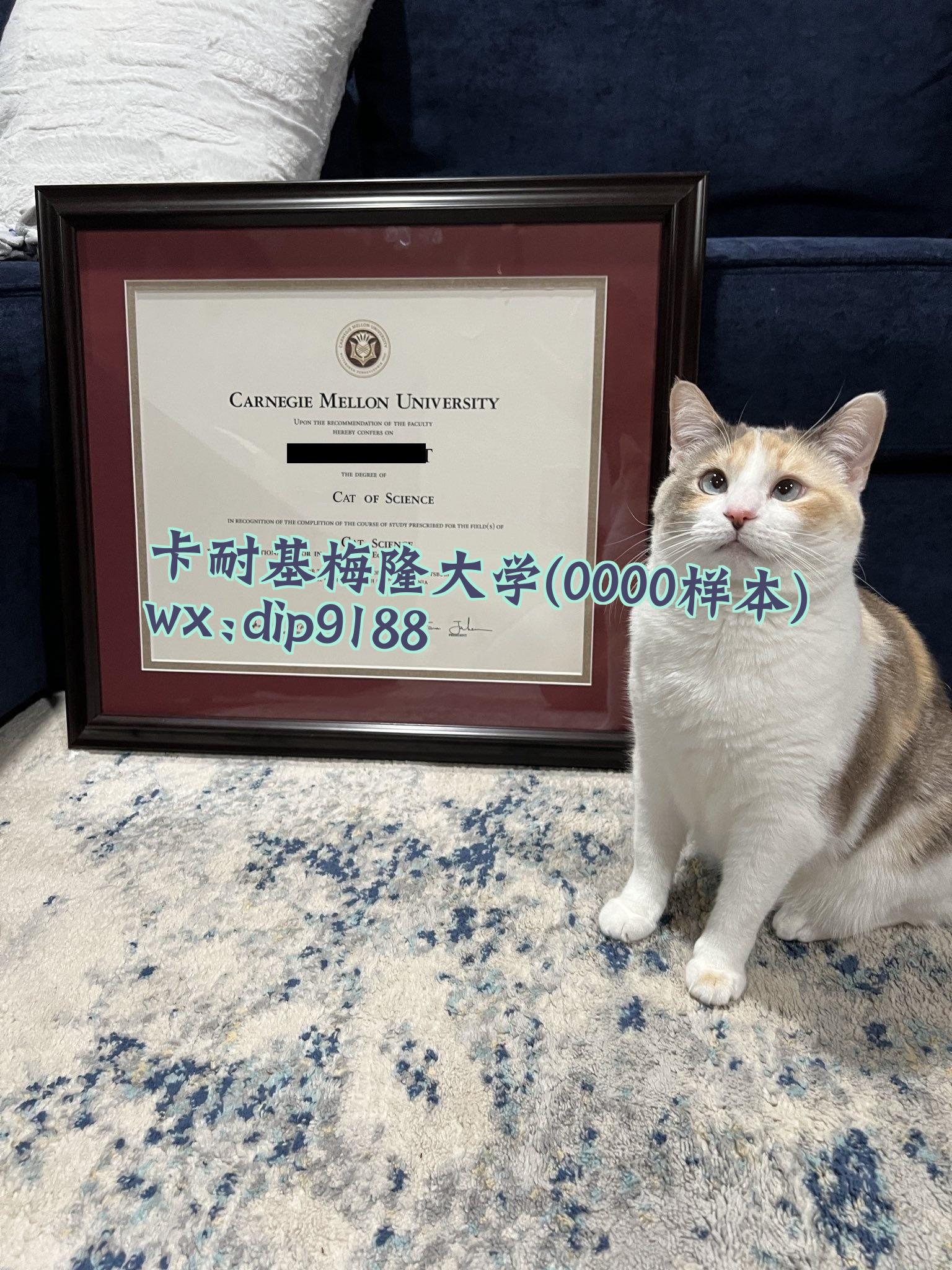 卡耐基梅隆大学学历0000毕业证样本图