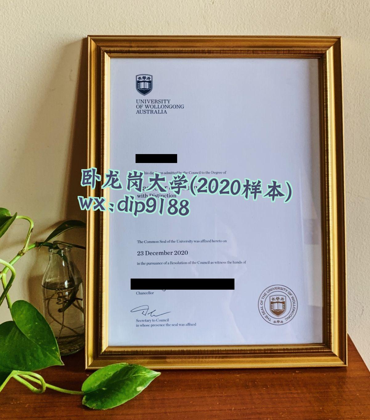卧龙岗大学学历2020毕业证样本图