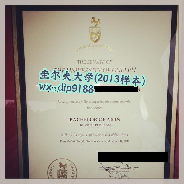 圭尔夫大学学历2013毕业证样本图
