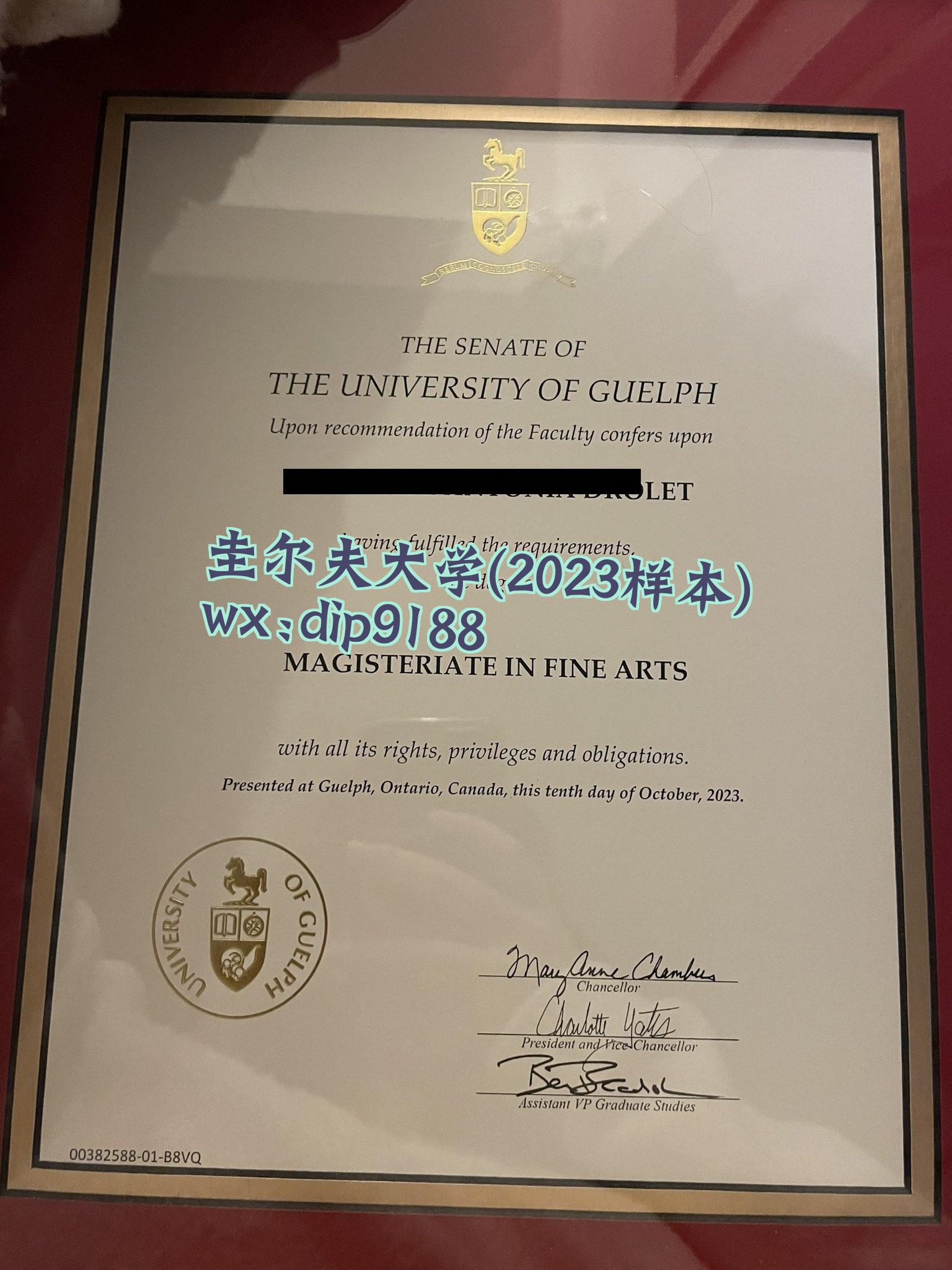 圭尔夫大学学历2023毕业证样本图