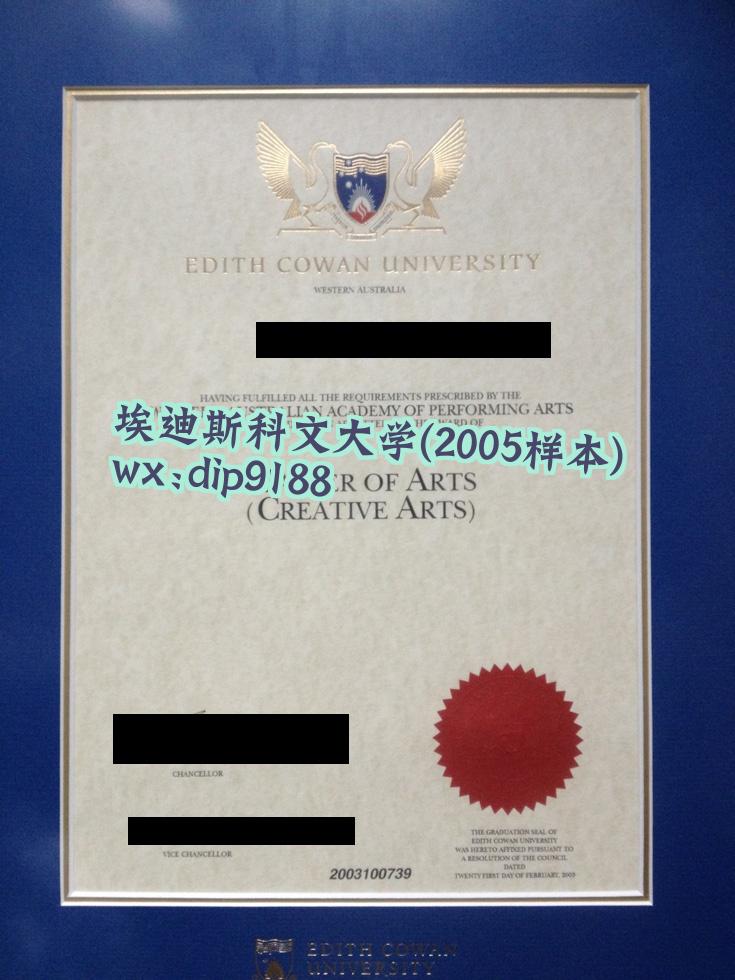 埃迪斯科文大学学历2005毕业证样本图