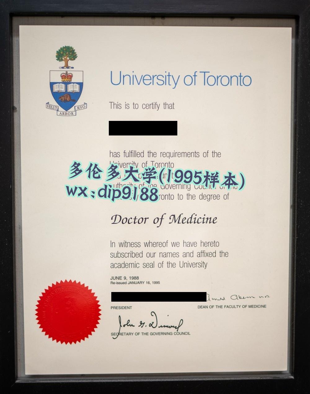 多伦多大学学历1995毕业证样本图