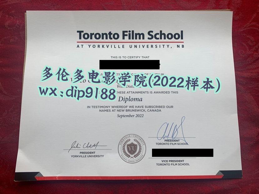 多伦多电影学院学历2022毕业证样本图
