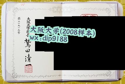 大阪大学学历2008毕业证样本图