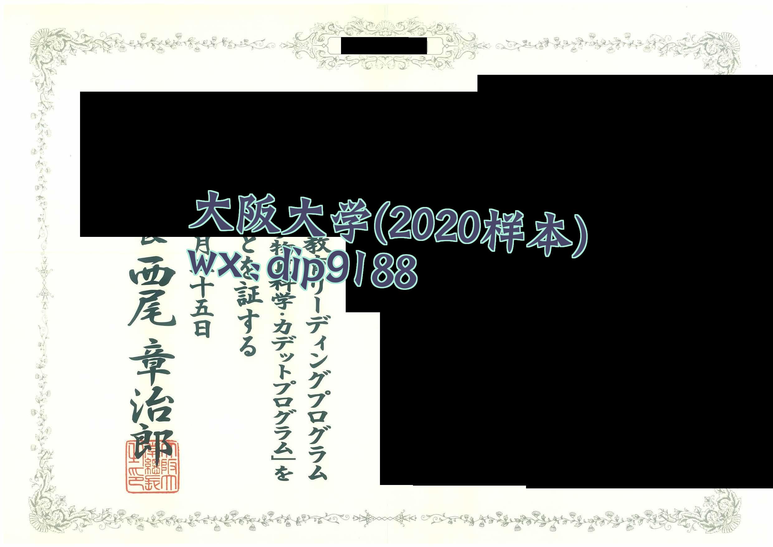 大阪大学学历2020毕业证样本图