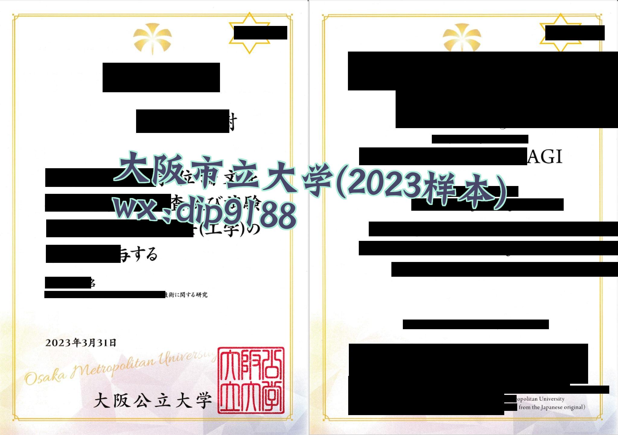 大阪市立大学学历2023毕业证样本图