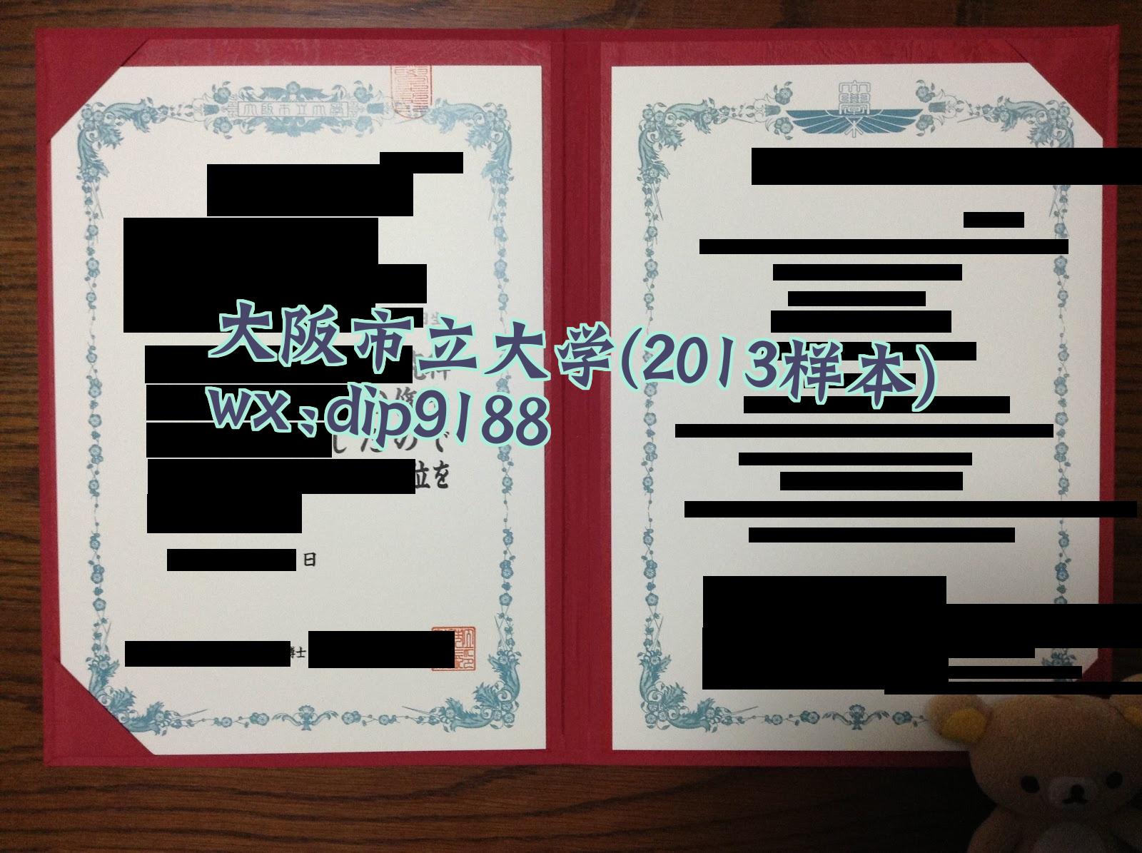 大阪市立大学学历2013毕业证样本图