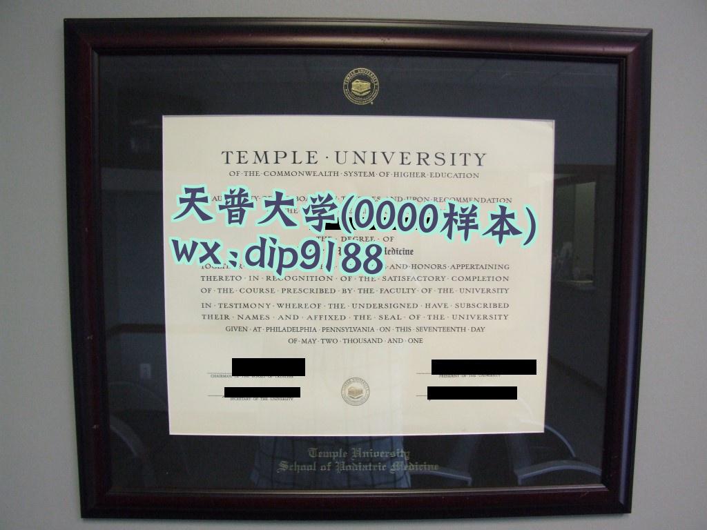 天普大学学历0000毕业证样本图