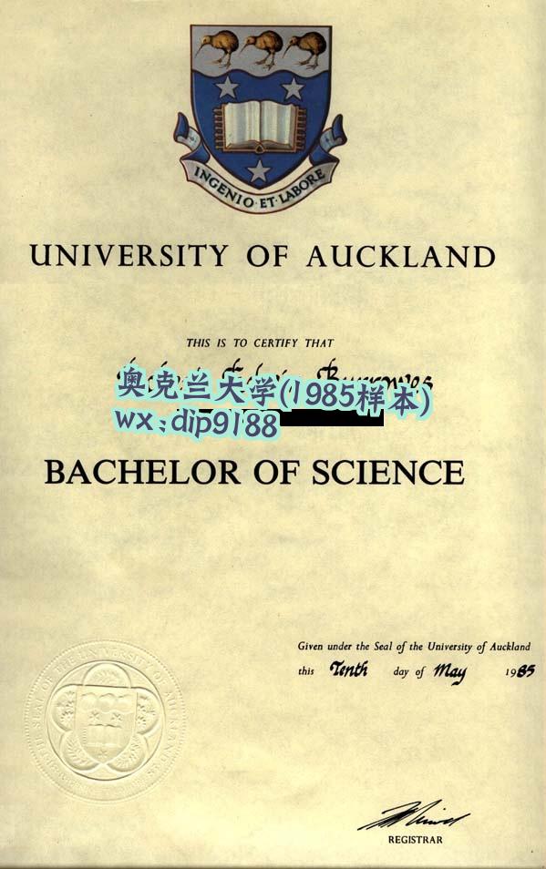 奥克兰大学学历1985毕业证样本图