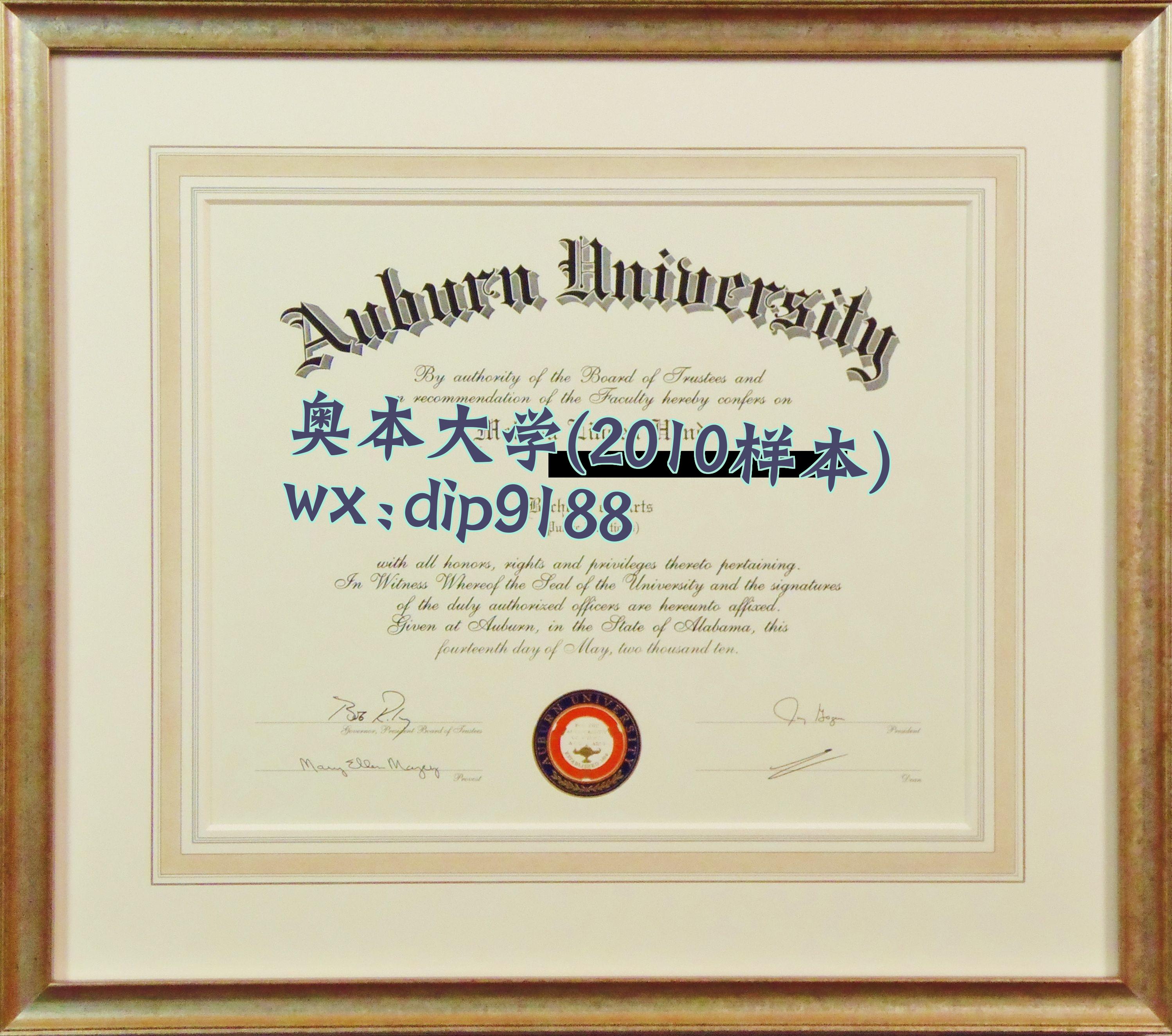 奥本大学学历2010毕业证样本图
