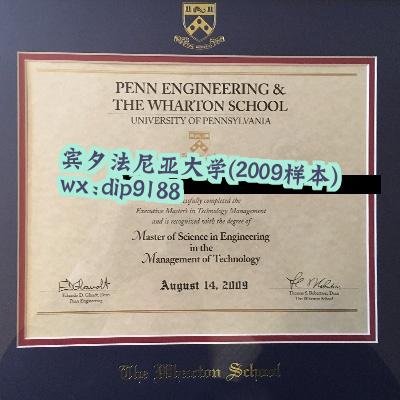 宾夕法尼亚大学学历2009毕业证样本图